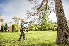 Best Tree Health Inspection  in Swarthmore, PA